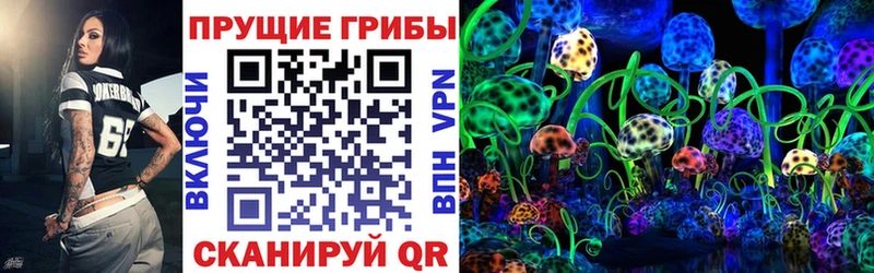 купить  цена  Осташков  Псилоцибиновые грибы мицелий 